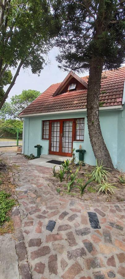Cozy Cottage +/- 500M From The Beach เคปทาวน์ ภายนอก รูปภาพ
